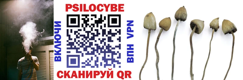 Галлюциногенные грибы GOLDEN TEACHER  Купить закладки  Богданович 