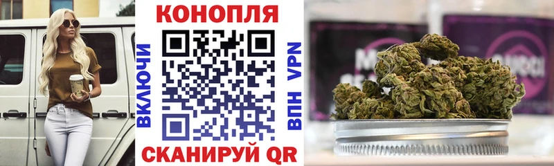 Купить где  Богданович  Марихуана семена 